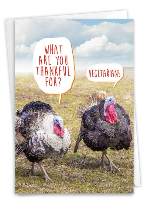 "NobleWorks Funny Thanksgiving Greeting Card with 5 x 7 Inch Envelope (1 Card) Thankful for Vegetarians  Cover Reads: What are you thankful for? Vegetarians. Inside Reads: Pass the green beans and have a Happy Thanksgiving!  Who knew turkeys counted their blessings on Thanksgiving, just like us wingless, featherless mammals? As long as the savory bird of the day can still strut, peck and beak come T-Day, then they \"do\" have something to be thankful for. Your vegan and meat-eating friends, fami Happy Thanksgiving Humour, Funny Happy Thanksgiving Images, Thanksgiving Funnies, Funny Thanksgiving Pictures, Happy Thanksgiving Funny, Thanksgiving Humor, Farmville 2, Thanksgiving Quotes Funny, Thanksgiving Jokes