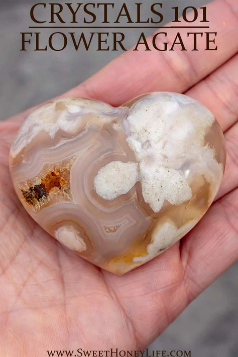 Learn the basics about Flower Agate and its properties, the chakras and astrological signs it is connected to and the possible benefits you may experience by owning this beautiful crystal. | #floweragate #crystals #crystals101 #agate Agate Meaning, Brazilian Agate, White Band, Banded Agate, Crystal Meanings, Agate Crystal, Natural Living, Crystal Collection, Mom Blogs