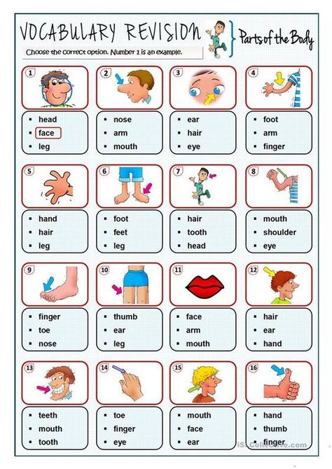 This is a fun worksheet to repeat vocabulary related to parts of the body. Learn English Kid, Body Parts For Kids, Materi Bahasa Inggris, English Worksheets For Kindergarten, Grammar For Kids, English Activities For Kids, English Exercises, Teaching English Online, Learning English For Kids