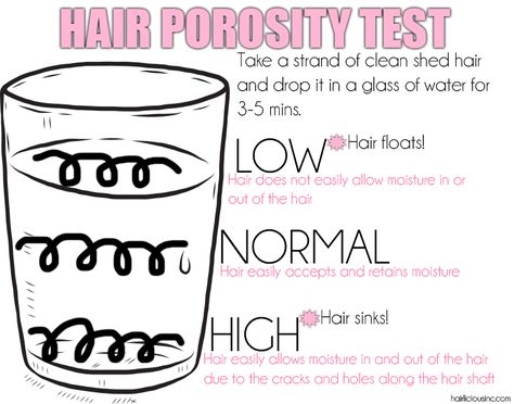 Have You Taken The Test? Knowing Your Hair Porosity Is Key To A Successful Hair Journey - HairliciousInc.com Hair Porosity Test, Low Porosity Hair Care, Low Porosity Hair Products, Natural Hair Care Tips, Hair Porosity, Black Hair Care, Hair Growth Tips, Natural Hair Tips, Natural Hair Journey