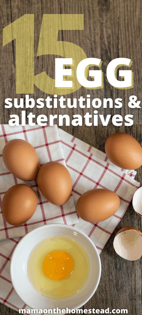 Substitutes For Eggs, Egg Replacement In Baking, Egg Breakfast Recipes, Freeze Eggs, Egg Substitute In Baking, Egg Alternatives, Egg Replacement, Baking Substitutes, Egg Free Recipes