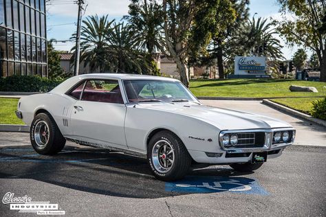 68 Firebird, 1967 Firebird, 1968 Firebird, Firebird Car, Studebaker Trucks, Classic Cars Chevy, Pontiac Cars, Vintage Muscle Cars, Classic Cars Trucks Hot Rods