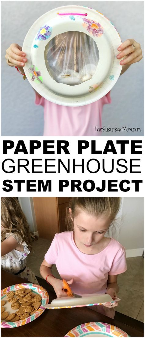 Paper Plate Greenhouse Kids STEM Project - The Suburban Mom Seed Lessons For Kids, Steam Projects Elementary, Oshc Activities, Crafting Closet, Bunny Crafts For Kids, Steam Activities Elementary, Seed Science, Ag Projects, Sustainability Activities