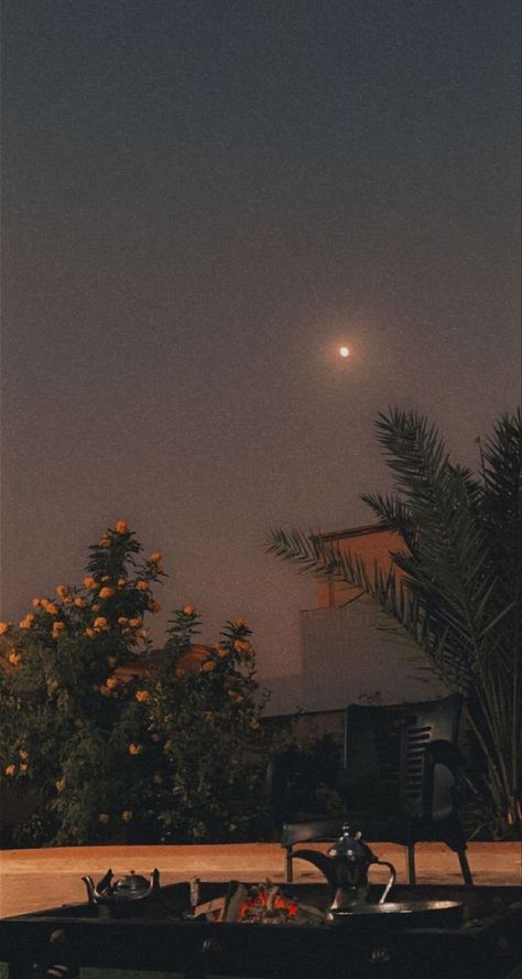 Nature Aesthetic Flower, Evening Aesthetic, Aesthetic Jungkook, Dark Landscape, Sky Photography Nature, Image Chat, Aesthetic Flower, Blackpink Edit, Amazing Nature Photos