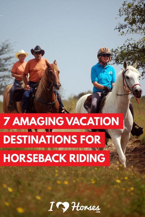 7 Amazing Destinations For Your Next Horseback Riding Vacation | #horse #equine #vacation #travel Horseback Riding Vacations, Equestrian Helmets, Best Vacation Destinations, Equestrian Helmet, Types Of Horses, Riding Hats, Equestrian Sports, Horse Blankets, Horse Lovers