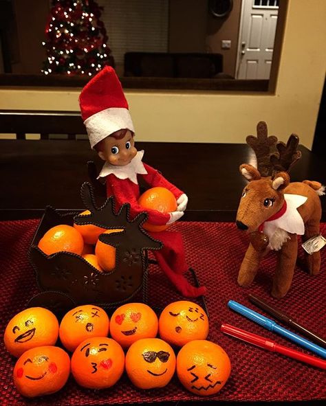 Day 9: Who doesn't love emojis? 🍊Jack loves them all! 😄😵😍😴😊😘😎😖 #elfontheshelf #elfontheshelfideas #elfontheshelf2016 #jacktheelfadventures #emoji #elfpets Bowl Of Oranges, Love Emojis, Elf Shenanigans, Elf On Shelf, Elf Pets, Easter Present, Awesome Elf On The Shelf Ideas, Elf On A Shelf, Elf Magic