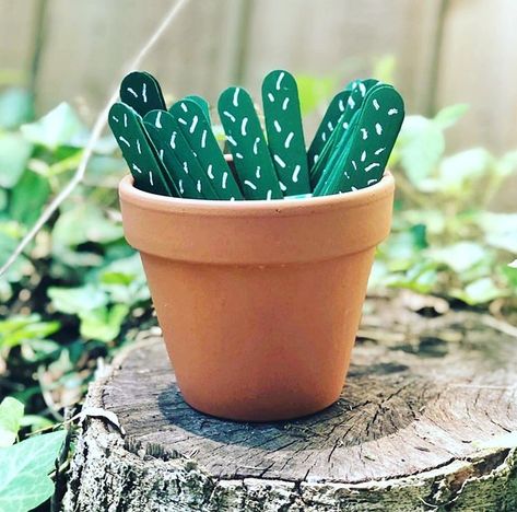 Plants Classroom, Cactus Classroom, Popsicle Stick Crafts For Kids, Talking Sticks, Succulent Theme, Classroom Goals, Elementary Classroom Decor, Class Theme, Classroom Decor Themes