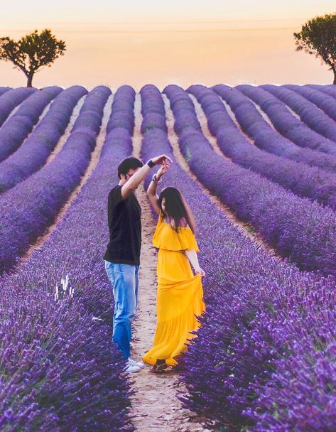 Lavender fields provence couple photoshoot Endless Field, Lavender Provence, Lavender Fields Photography, Photo Bleu, Provence Lavender, Flower Photoshoot, Visit Places, Lavender Garden, Lavender Field