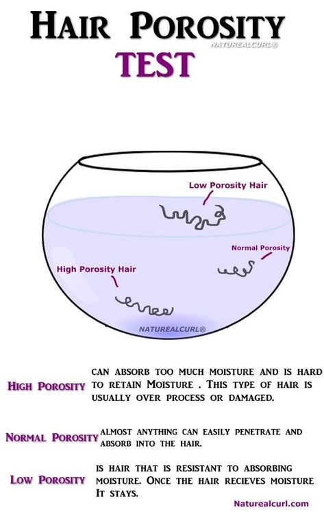 Porosity Test, Hair Porosity Test, Membentuk Alis, High Porosity Hair, Beauty Science, Low Porosity, Low Porosity Hair Products, Natural Hair Care Tips, Hair Regimen