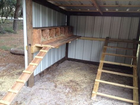 Unique Chicken Coop, Chicken Coop Decorations, Chicken Coop Building Plans, Chicken Coop Designs Diy, Chicken Coop Pallets, Backyard Coop, Walk In Chicken Coop, Cute Chicken Coops, Chicken Coop Garden