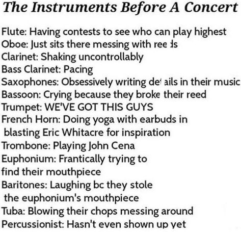 Flute Memes Funny, Bassoon Memes, Orchestra Jokes, Flute Memes, Funny Band Jokes, Band Puns, Musician Jokes, Funny Band, Marching Band Memes