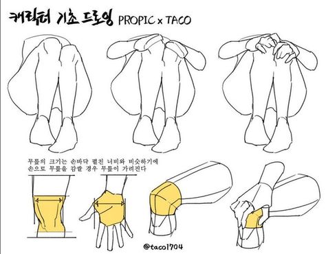 The width of your palm is about the same as the width of your knees, therefore, the hands will cover the knees. Taco1704 Anatomy, Leg Tutorial, Taco Drawing, Animation References, Head Art, Anatomy Tutorial, Body Sketches, Anatomy Sketches, Body Reference Drawing