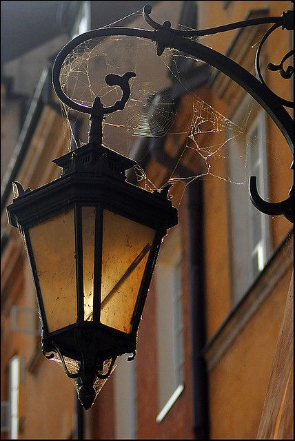 Street Lamp Aesthetic, Wall Lamps Diy, Concept Art Tutorial, Fancy Lights, Light Pole, Lantern Lamp, Spider Webs, Warsaw Poland, Street Lamp