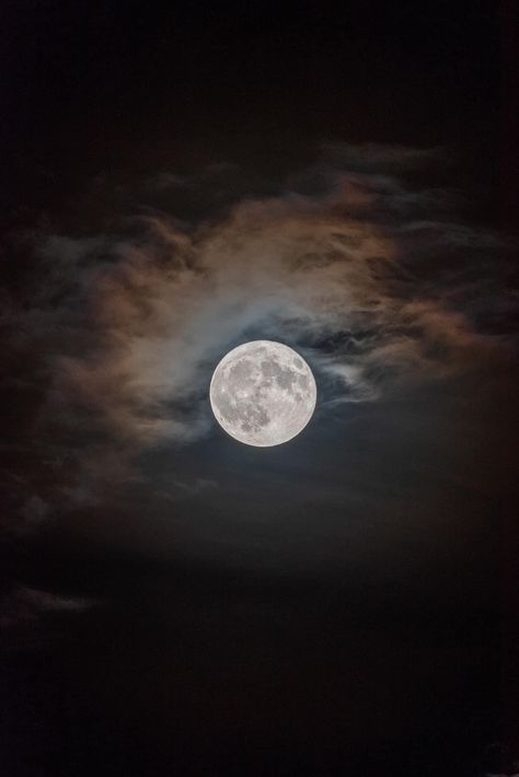 The Sturgeon Blue Supermoon 08/19/24 📷:M. Ginosyan Photography Blue Supermoon, Scary Dogs, The Moon Is Beautiful, Look At The Moon, Planets Art, Fly Me To The Moon, Moon Photography, Super Moon, Pink Moon