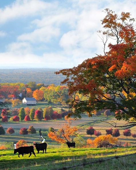 Autumn On The Farm, Western Massachusetts Aesthetic, Massachusetts Countryside, Autumn Massachusetts, Massachusetts Nature, Fall Massachusetts, Autumn Town, Fall On The Farm, Massachusetts Fall