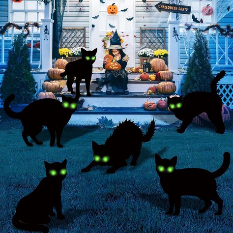 I got it from Amazon , Click the link Scary Silhouette, Halloween Decorations Outdoor Scary, Cat Halloween Decor, Halloween Lawn Decorations, Halloween Yard Signs, Scary Halloween Decorations Outdoor, Halloween Lawn, Halloween Decorations For Kids, Black Cat Silhouette