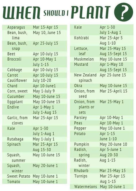 Planting table When To Plant Vegetables, Planting Calendar, Veg Garden, Diy Gardening, Home Vegetable Garden, Food Garden, Planting Vegetables, Flowers Garden, Veggie Garden