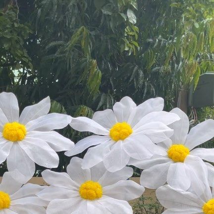 Hand Crafted By Vibha on Instagram: "Let July be just a daisy july 🤍💛🤍 Soothing daisies just perfect for the season. #july #daisies #daisy #flowers #soothing #giantflowers #decor #organzaflower #fabricflower #handmade #handcrafted #eventdecor #decoration #haldidecor #prop #display #trending #exquisite #customized #madetoorder #floral #beautiful #likeforlikes #followforfollowback #creative #artist #bangalore #events #eventplanner #loveit" Daisy Decorations, Women's Conference, Organza Flowers, Giant Flowers, Daisy Flowers, Diy Flowers, Daisy Flower, Installation Art, Event Decor