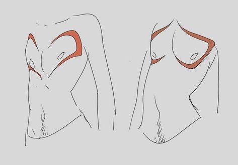 Top Surgery Scars, Heart Shaped Top, Top Surgery, Výtvarné Reference, Body Reference Drawing, Art Base, Art Poses, Art Tutorials Drawing, Sketchbook Art Inspiration