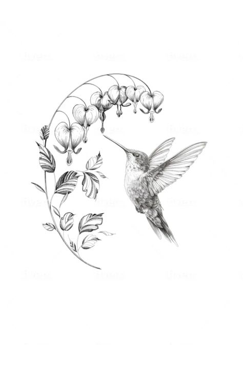 [object Object] Hummingbird Tattoo Spine, Hummingbird In Flight Tattoo, Hummbird And Flower Tattoo, Hummingbird Tattoo Drawing, Humming Bird Behind Ear Tattoo, Female Hummingbird Tattoo, Owl And Hummingbird Tattoo, Celtic Hummingbird Tattoo, Japanese Hummingbird Tattoo