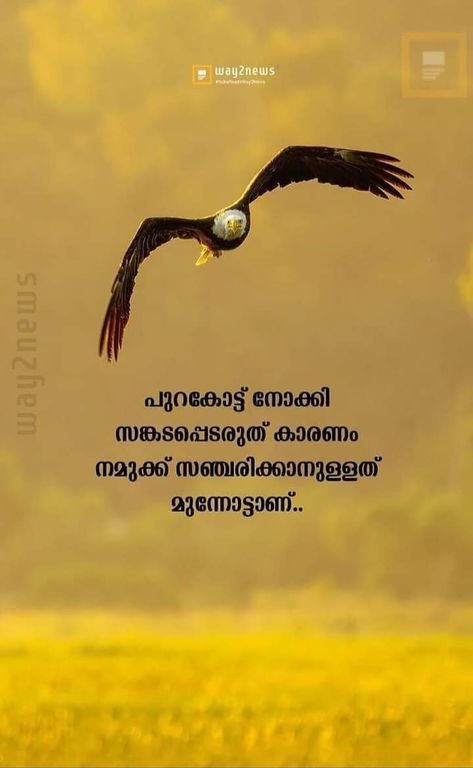 Malayalam Good Morning Quotes, Malayalam Quotes Inspirational, Life Feeling Quotes, Good Morning Quotes Malayalam, Gd Nt, Quotes Malayalam, Better Quotes, Feel Better Quotes, Mary Pictures