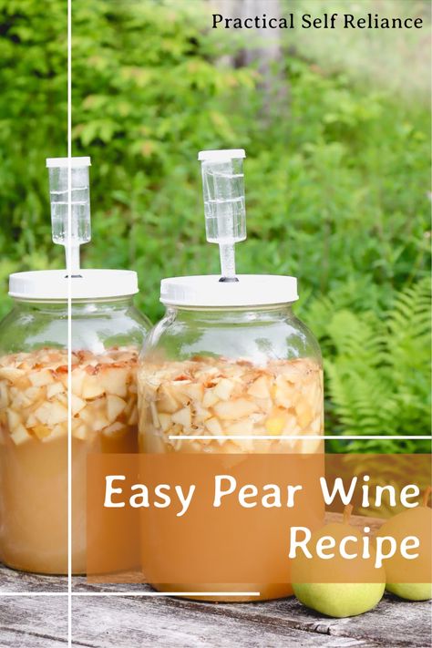 Easy Pear Wine Recipe: Wine Making for Beginners - If you're wondering how to preserve pears, making pear wine at home is a delicious option. This homemade fruit wine captures the fruitiness of pears in a bottle! Learn how to make pear wine with this incredibly easy, homemade pear wine recipe. Wine Making For Beginners At Home, How To Make Your Own Wine, Pear Moonshine Recipe, Pear Brandy Recipes, Sweet Wine Recipes, Pear Wine Recipe, Preserve Pears, Fruit Wine Recipes, Mead Recipes