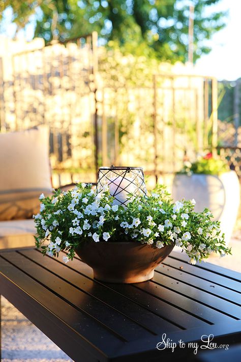 How to make an easy floral outdoor centerpiece luminary  #make #luminary #centerpiece skiptomylou.org Luminary Centerpiece, Patio Lighting Diy, Porter House, Deck Decor, Porch Accessories, Pinterest Wedding, Diy Flower Pots, Decoration Plante, Floral Centerpiece