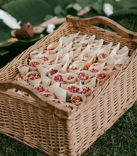 SAVE 12% WITH OUR CONE + CONFETTI BUNDLE! ✨✨  Add a sprinkle of magic to your big day with our biodegradable flower wedding confetti, delicately nestled within premium paper cones.  Flaurae's biodegradable, flower wedding confetti is filled with all-natural and beautiful scents from the dried flowers.  Designed not only to look magical for your confetti shot but to also carry a meaningful sentiment as you are exiting the aisle. As your guests sprinkle this confetti at your wedding, you will be s Flower Confetti Cones, Wedding Cones, Dried Flower Confetti, Flower Toss, Dried Flower Wedding, Summer Wedding Favors, Confetti Cones, Biodegradable Confetti, Flower Confetti