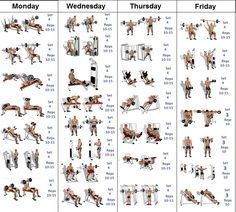 A Simple and Effective Muscle Building Schedule – Fitness Workouts & Exercises Tricep Workout Gym, Gym Workout Schedule, Weekly Gym Workouts, Gym Schedule, Gym Pic, Pic Video, Workout Gym Routine, Bodybuilding Program, Best Gym Workout