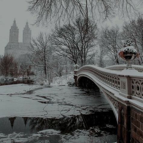 Fog Aesthetic, Polarr Filters Code, Vampire Books, Royal Aesthetic, Polarr Filters, Dark Winter, Winter Scenery, Christmas Snow, Urban Fantasy