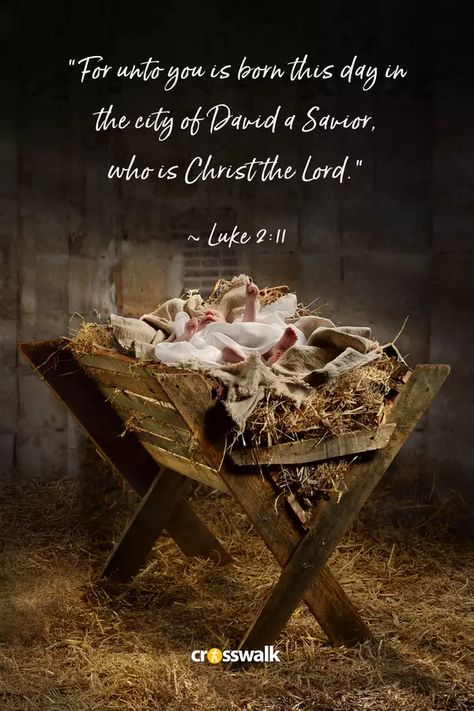 Top 15 Christmas Bible Verses to Share in 2021 - Christmas and Advent Christmas Quotes Jesus, Swaddling Clothes, Luke 2 11, Christmas Verses, Christmas Scripture, The Life Of Jesus, Christmas Bible Verses, Wonderful Counselor, Christmas Bible