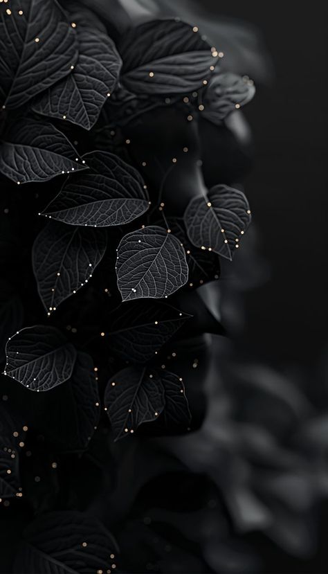 Beautiful Dark Background, Dark Images Photography, Best Dark Wallpapers Hd, Wallpaper For Phone Black, Dark Abstract Wallpaper, Dark Wallpapers Aesthetic Iphone, Dark Wallpaper Phone, Iphone Dark Wallpaper, Dark Phone Wallpaper