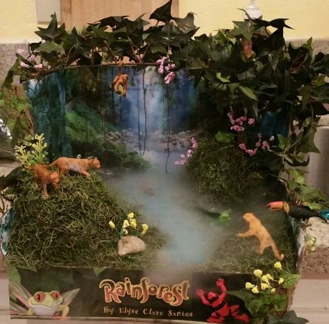 Tropical rainforest Diorama Rain Forest Projects For Kids, Tropical Rain Forest Shoe Box Project, Amazon Rainforest Diorama, Rainforest Ecosystem Project Ideas, Tropical Rainforest Project, Rainforest Diaroma, Rainforest Biome Shoebox Project, Rainforest Diorama Shoebox For Kids, Tropical Rainforest Biome Project