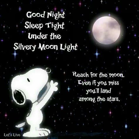 Good Night. Sleep tight under the silvery moonlight. Reach for the moon. Even if you miss, you'll land among the stars. ("hmm,nice ♥️") --Peanuts Gang/Snoopy Goodnight Snoopy, Good Night My Friend, Charlie Brown Quotes, Good Night Sleep Tight, Snoopy Funny, Cute Good Night, Slaap Lekker, Snoopy Quotes, Snoopy Pictures