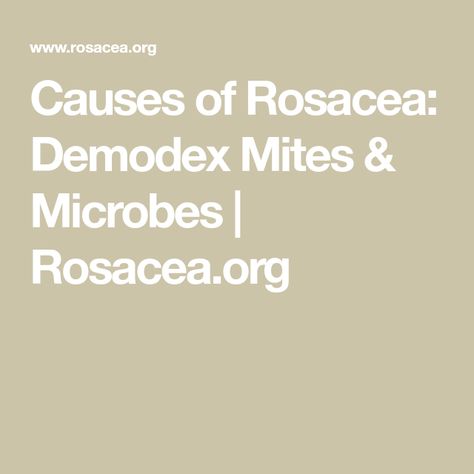 Causes of Rosacea: Demodex Mites & Microbes | Rosacea.org Demodex Mites, Immune Response, Hair Follicle, Dermatology, Sensitive Skin, Disease, Skin Care, Skin, Makeup