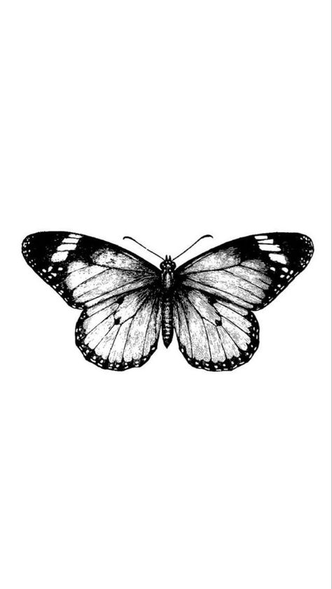 Half Moth Half Butterfly Tattoo, Butterfly Tattoo Designs Men, Monarch Butterfly Tattoo Black And White, Masculine Butterfly Tattoo, Men Butterfly Tattoo, Black And White Butterfly Tattoo, White Butterfly Tattoo, Geometric Tattoo Sleeve Designs, Butterfly Tattoos Images