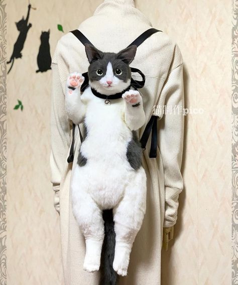 "Cat-Maniac" Designer From Japan Creates Super Realistic Cat Backpack - I Can Has Cheezburger? Cat Handbags, Animal Backpacks, Metal Shirts, Cat Backpack, Fur Bag, Cat Fashion, Cat Bag, Cute Plush, Funny Cat Videos