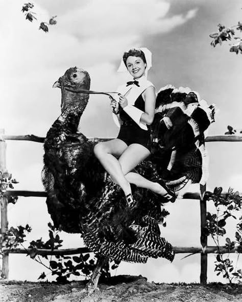 13 Bizarre Vintage Thanksgiving Pinups Thanksgiving 2020, Vintage Thanksgiving, Happy Thanksgiving, Gibson, Virginia, Thanksgiving