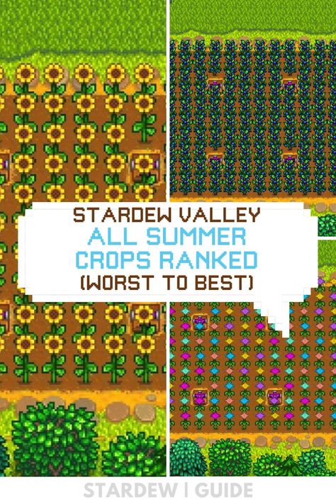 Stardew Valley Summer Crops Layout, Stardew Summer Crops, Stardew Valley Summer Guide, Summer Stardew Valley, Stardew Valley Crop Guide, Stardew Valley Summer Crops, Stardew Valley Summer, Summer Crops, Fall Crops