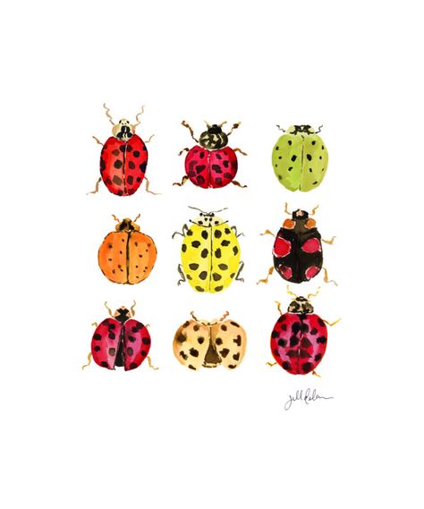 Ladybird Drawing, Nursery Illustration, Abstract Portrait Painting, Ladybug Art, Artfully Walls, Animal Art Prints, Artist Wall, Abstract Portrait, My Works