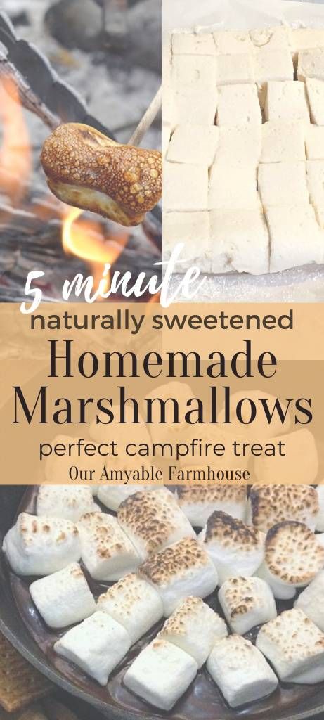 Homemade Roasting Marshmallows, Healthy Homemade Marshmallows, Homade Marshmallows, Healthy S’mores, Diy Marshmallows, Paleo Marshmallows, Healthy Marshmallows, Modern Homemaking, Homemade Marshmallow Recipe