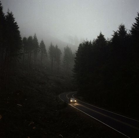 Pictures Winter, Midwest Emo, Cloudy Skies, Supernatural Wallpaper, Foggy Forest, Dark Nature Aesthetic, Vampire Academy, Ghost Hunting, Hobbies And Interests