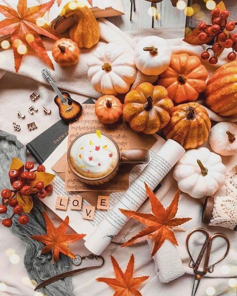 Thanksgiving Screensavers, Fall Aesthetic Pumpkin, Autumn Flatlay, Fall Presets, October Vibes, Aesthetic Pumpkin, Fall Mood Board, Aesthetic Feed, Warm Decor