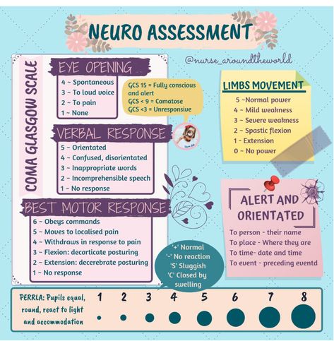 Neurological Assessment, Breath Sounds, Nursing Assessment, Heart Sounds, Medicine Notes, Medicine Studies, Picu Nurse, Nurse Study Notes, Pharmacology Nursing