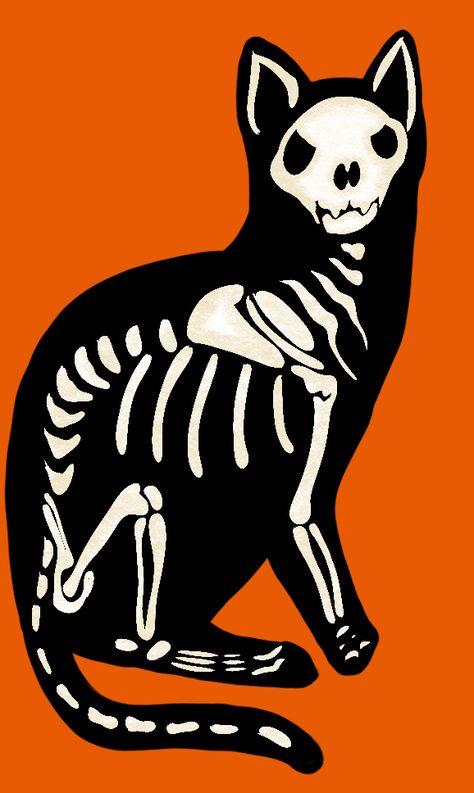 Halloween Skeleton Cat image, graphic, cartoon, Feline, Spooky, Scary, October, Autumn, Fall Cat Skeleton Illustration, Halloween Skeleton Animals, Skeleton Cat Drawing, Cat Skeleton Drawing, Animal Skeleton Drawing, Spooky Moodboard, Skeleton Collage, Skeleton Drawing Easy, Grandma Painting