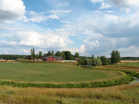 Countryside, Finland Finland Countryside, Peaceful Life, Horse Farms, Farm Life, Nature Photos, Farm Animals, Finland, Beautiful Pictures, Horses