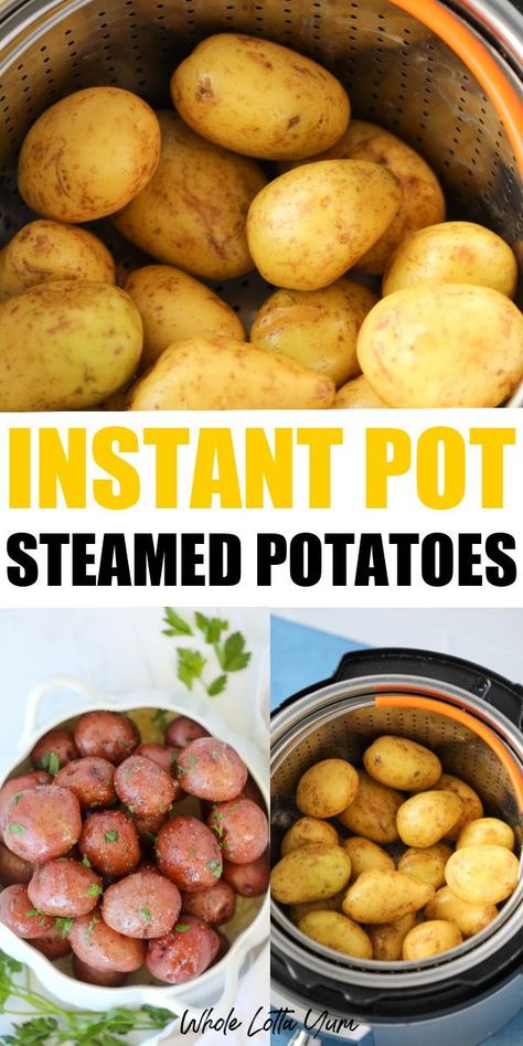 Instant pot steamed potatoes are absolutely one of the best potato recipes! If you love seasoned potatoes, are a fan of the instant pot, or need a go-to healthy recipe for a weeknight meal or any occasion, you have to try the instant pot steamed potatoes! How To Cook Potatoes In Instant Pot, Cooking Potatoes In Instant Pot, Insta Pot Potatoes Recipes, Pressure Cooking Potatoes, How Long To Cook Potatoes In Instant Pot, New Potatoes Instant Pot, Steam Potatoes Instant Pot, Pressure Cooker Potato Recipes, Instant Pot Small Potatoes Recipe