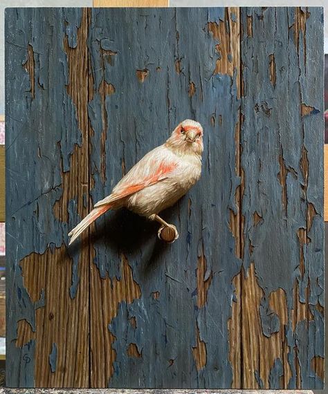 Grant Perry | Artist on Instagram: "“Melissa’s Canary” 10x12in, oil on mounted linen. This is one of those pieces where I went a little crazy. I did it to myself though. Painting all the cracked paint and wood was not an easy task and being me I couldn’t just simplify things and make it easy…. The bird was the easy part 😂 hopefully I’m not painting any backgrounds like this for awhile now. Happy to say the client is very happy with how this commission turned out." Grant Wood Paintings, Bird Parakeet, Magnolia Parks, Animals Painting, Cracked Paint, Bird Paintings, Wildlife Paintings, Scenic Art, Natural Art