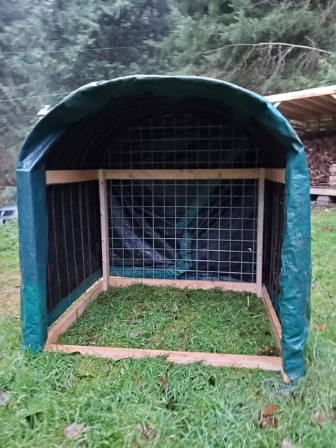 Shelters For Goats, Homemade Goat Shelter, Diy Mini Horse Shelter, Diy Animal Shelter Ideas, Animal Shelters Diy, Cattle Panel Coop, Trampoline Animal Shelter, Movable Pig Shelter, Outdoor Dog Shelter Diy