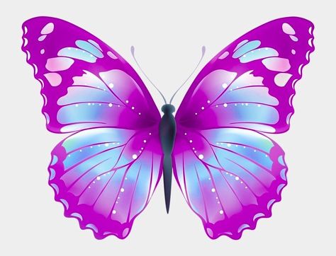 Flower Cake Design, Sweet 16 Centerpieces, Logo Online Shop, Cake Frame, Butterfly Cake Topper, Beautiful Butterfly Pictures, Hulk Art, Butterfly Art Painting, Photo Frame Wallpaper